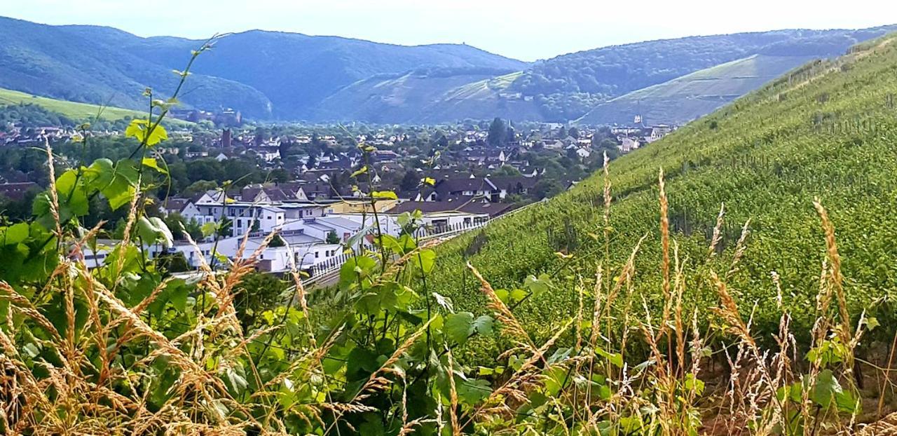 Ahrweiler Seelchen Bad Neuenahr-Ahrweiler Esterno foto