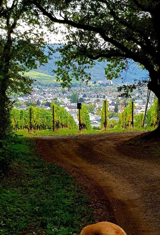 Ahrweiler Seelchen Bad Neuenahr-Ahrweiler Esterno foto